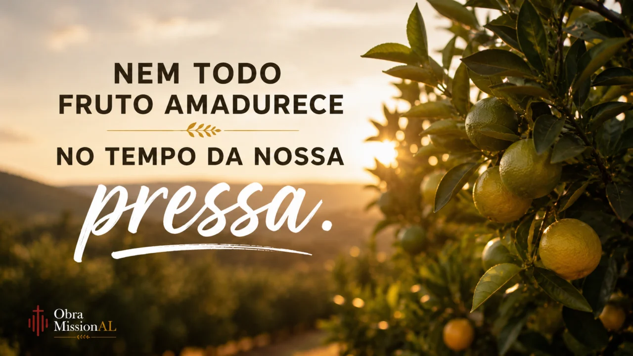 Frutos amadurecendo em uma árvore ao pôr do sol, representando o tempo de Deus, a perseverança e o processo de transformação.